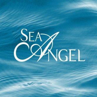 Sea Angel Cruise