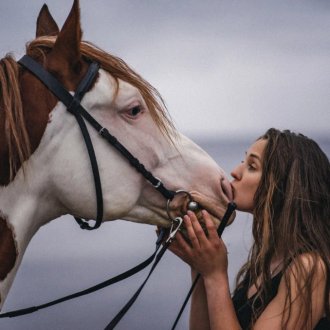 Horse Travel